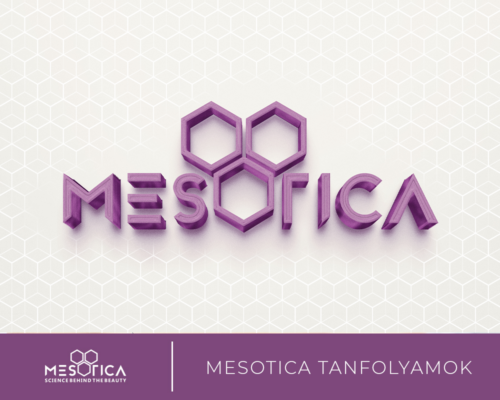 2_Mesotica_tanfolyam-1000x800-1 (1)